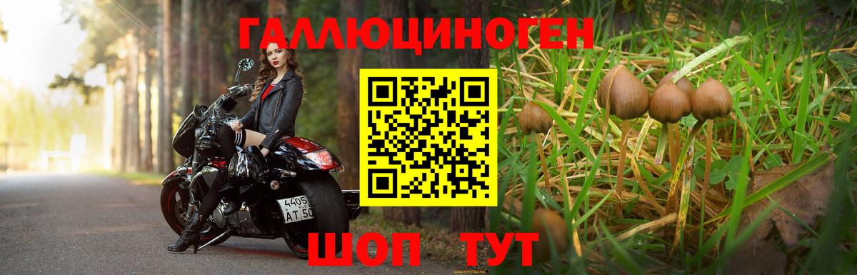 Галлюциногенные грибы MAGIC MUSHROOMS  Галлюциногенные грибы мухоморы  Азнакаево  Вход с VPN 