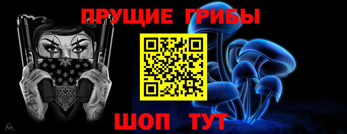 Псилоцибиновые грибы Psilocybe Азнакаево