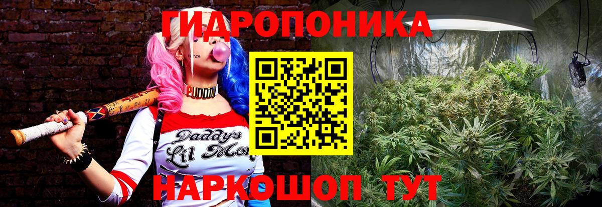 Марихуана марихуана  Конопля планчик  Азнакаево  МАРИХУАНА конопля  Вход с VPN  Марихуана план 